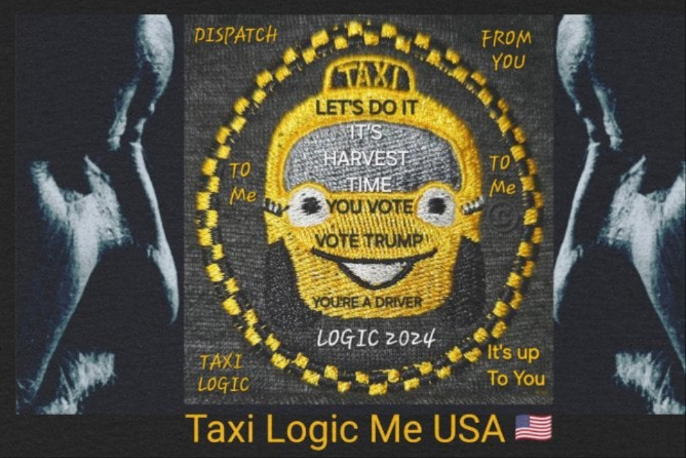 TAXI LOGIC ME USA - Unisex Heavy USA Cotton Tee